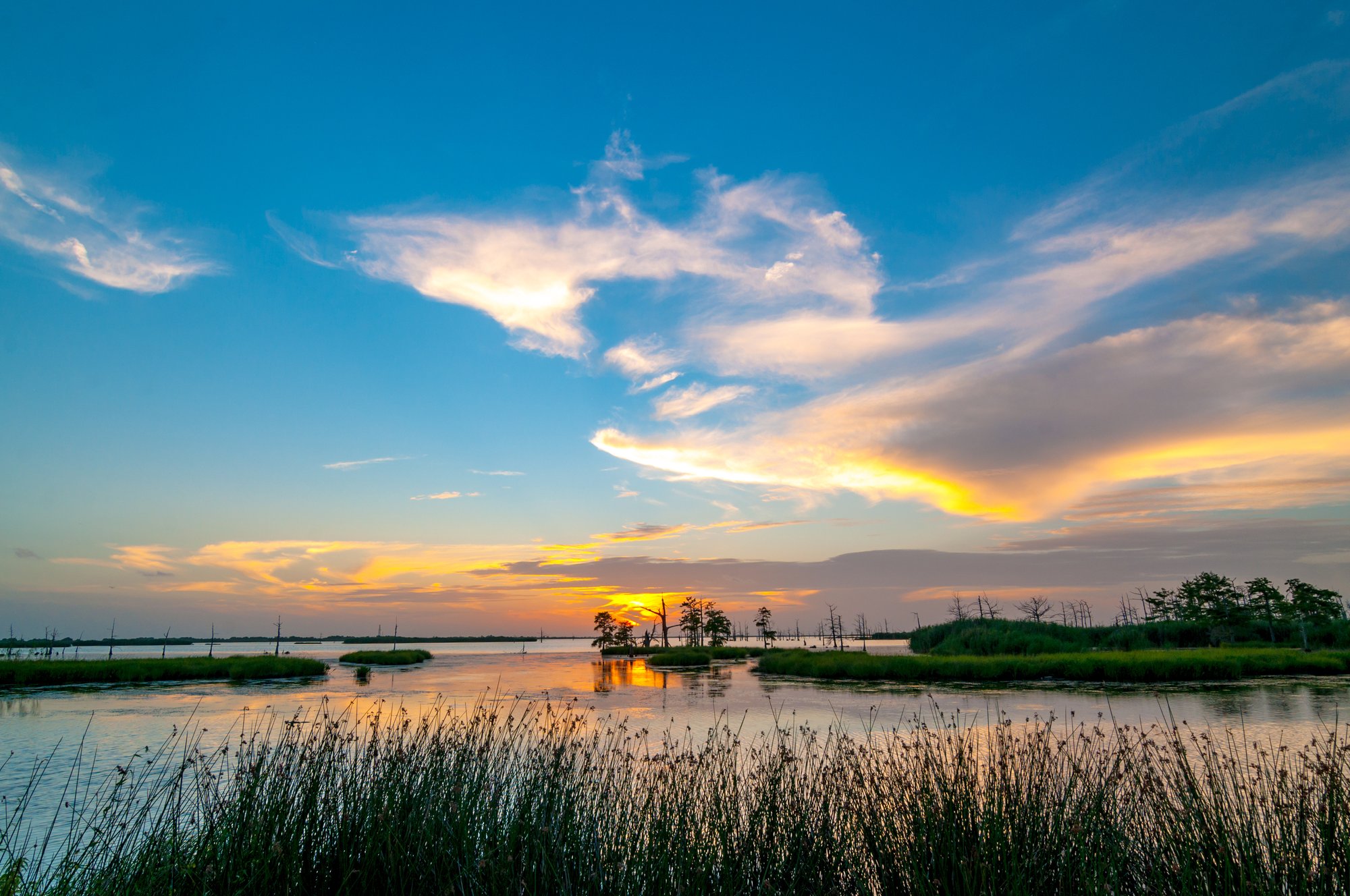 Shutterstock Wetlands